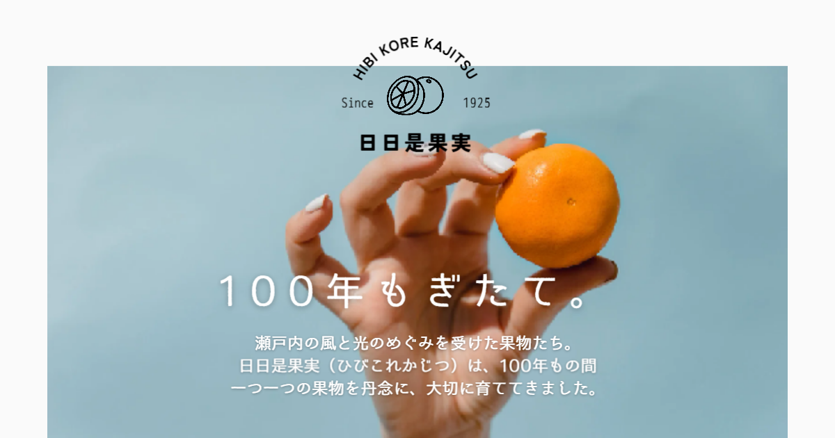 NAVY(Webサイト①)